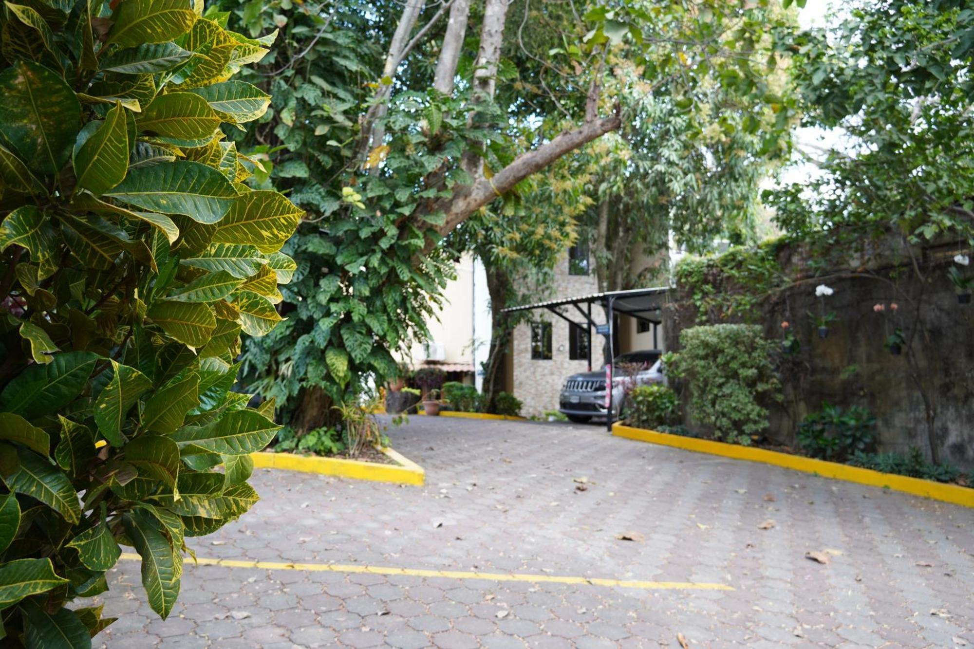 Villa Las Flores سان سلفادور المظهر الخارجي الصورة